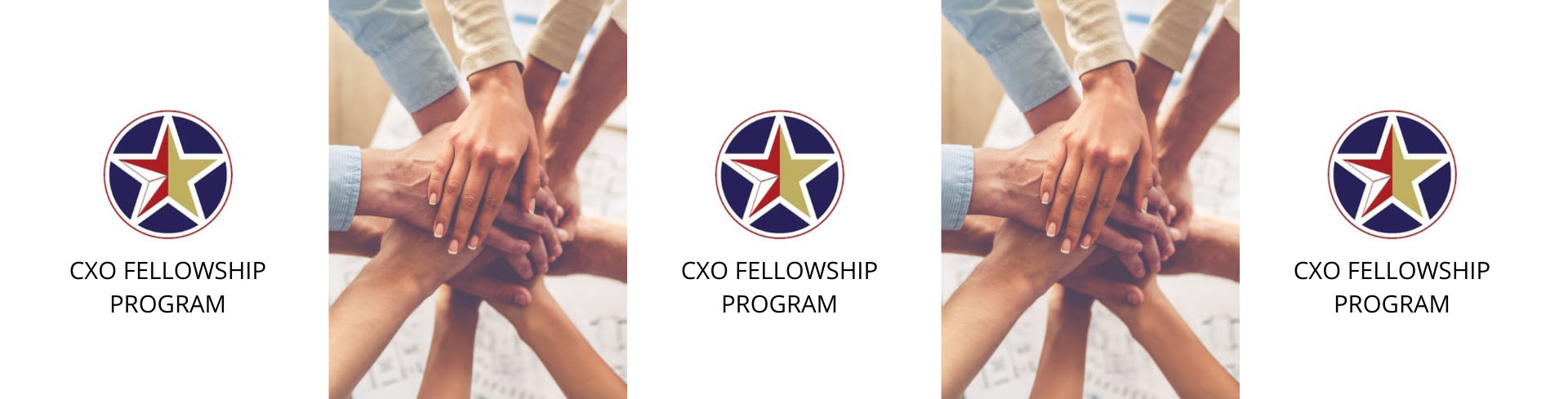 CXO Fellowship Program logo.